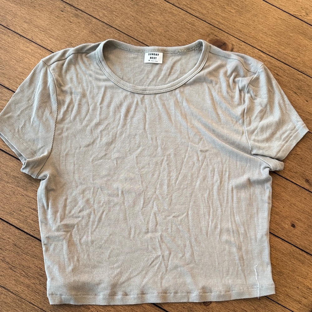 Aritzia Ribbed Crop Top - Light Gray